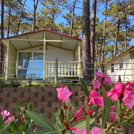 Parque De Campismo Orbitur Valado אתר קמפינג 3*