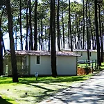 مكان تخييم Parque De Campismo Orbitur Valado نازاريه