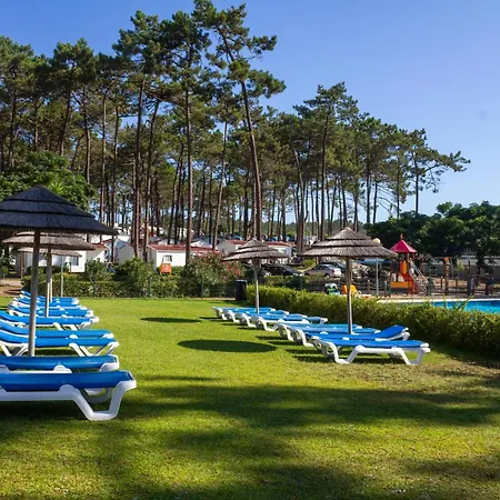 Parque De Campismo Orbitur Valado 캠프장 나자레