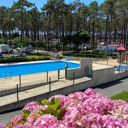 Parque De Campismo Orbitur Valado 나자레