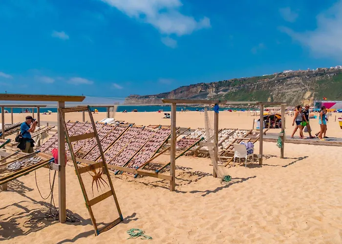 Кемпинг Parque De Campismo Orbitur Valado