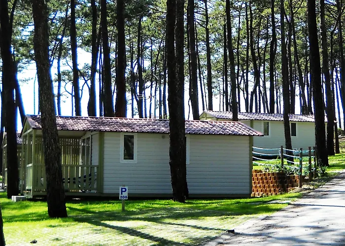 Кемпинг Parque De Campismo Orbitur Valado Назаре